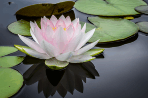 yoga classes New Jersey
